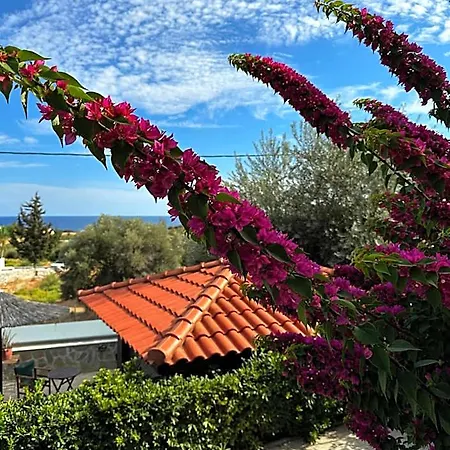 Southern Dreams Hotel Istrios